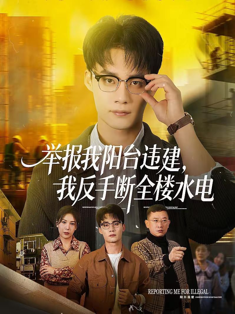 热播榜第2名海报